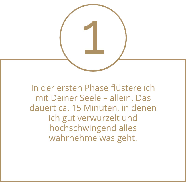 seelengefluester-phase-eins
