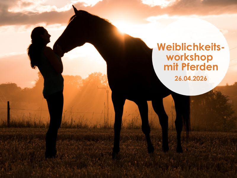 Weiblichkeit heilen mit Pferden